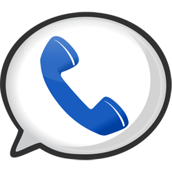 voice call service